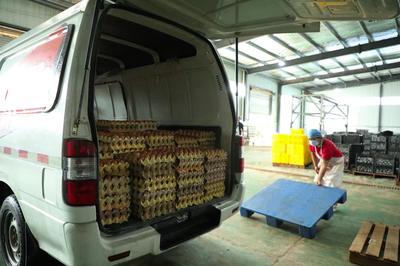 河南睢縣 培育“新農人”，筑起“興農路”食品銷售新篇章