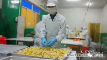 念其善 賣“不起眼”的水果，年銷近2億元的食品銷售傳奇